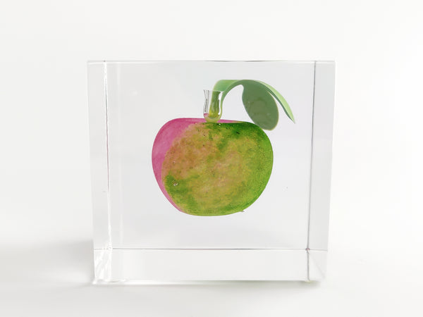 Oiva Toikka Special Cube Sadonkorjuun Aika from Alla Omenapuun collection RARE