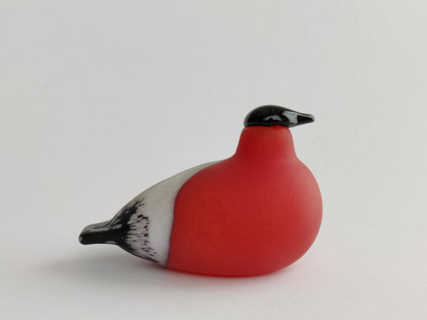 Bullfinch - Punatulkku - Oiva Toikka Birds Nuutajärvi Finland
