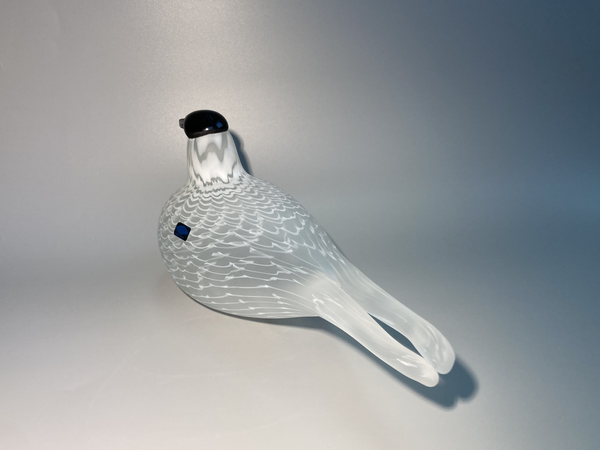 OIVA TOIKKA Bird Species of Tern 02美品 OIVA TOIKKA Bird Species of Tern 02美品 - メルカリ