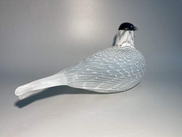 Caspian tern - Species of Tern - Räyskä by Oiva Toikka 1988