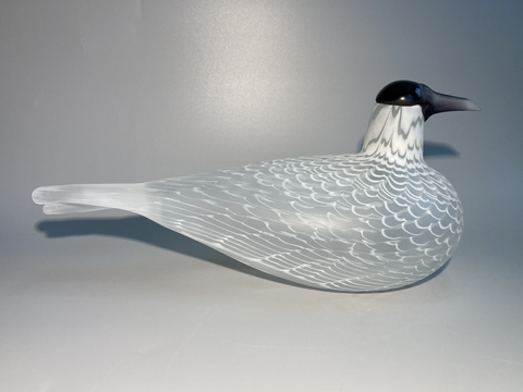 Caspian Tern Oiva Toikka Räyskä bird 1988 Species of Tern glass