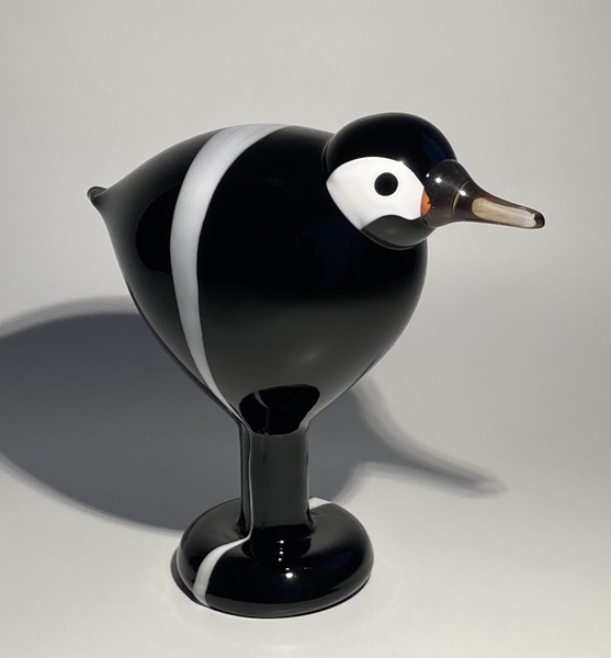 Black-Collared Swallow - CMOG 2020 #200/200 - Oiva Toikka (NEW)