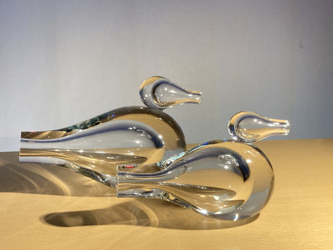 えりこ Bird by Vigna Contrasti Clear Giorgio_Vigna_Colori_birds_in_