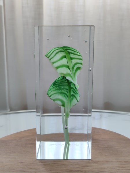 Oiva Toikka - Special Art Cube Vintage