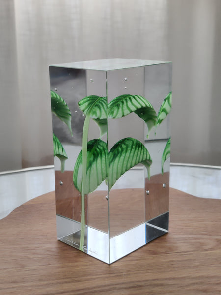 Oiva Toikka - Special Art Cube Vintage