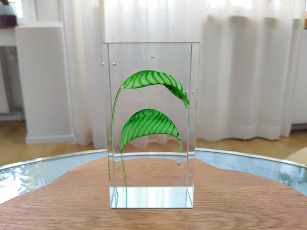 Oiva Toikka - Special Art Cube Vintage