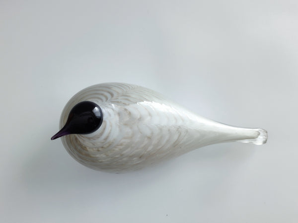 Stockdove - Uuttukyyhky - Oiva Toikka Nuutajärvi