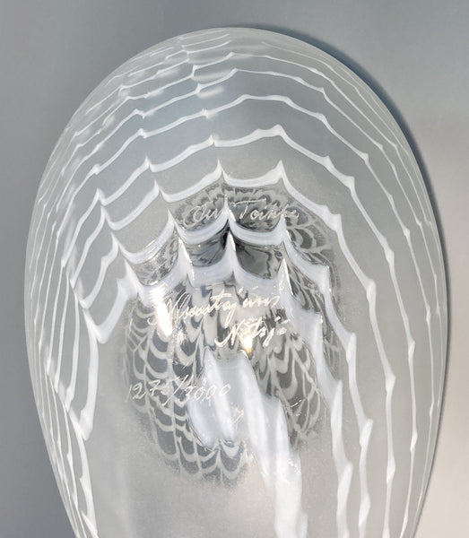 Caspian tern - Species of Tern - Räyskä by Oiva Toikka 1988