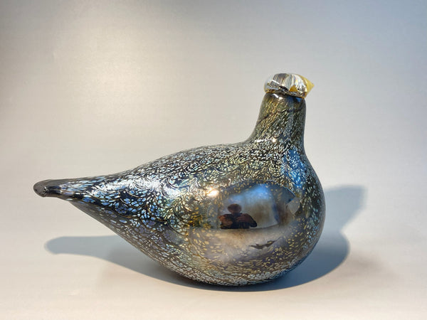 Wood Grouse - Koppelo - Oiva Toikka Birds Nuutajärvi Finland