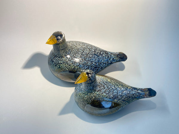 Wood Grouse - Koppelo - Oiva Toikka Birds Nuutajärvi Finland