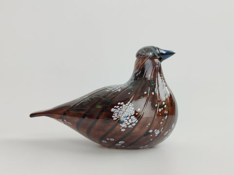 Korpikiiruna Oiva Toikka Bird Lintu Kotiliesi 2008 Iittala Finland
