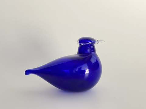 LittleTerncobaltbluebyOivaToik