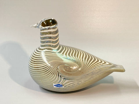 Long-TailedDuckgolden-