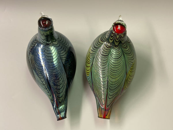 Pheasant - Fasaani - Birds by Oiva Toikka Nuutajärvi 1981-2015