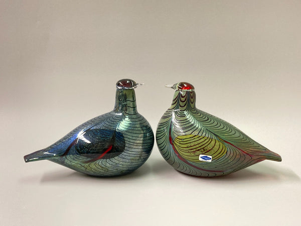 Pheasant - Fasaani - Birds by Oiva Toikka Nuutajärvi 1981-2015