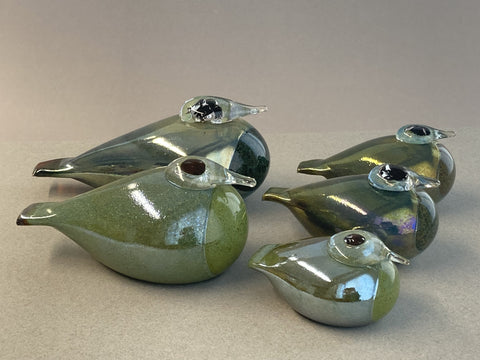 ScaupDucksDigitalSotkatOivaToi