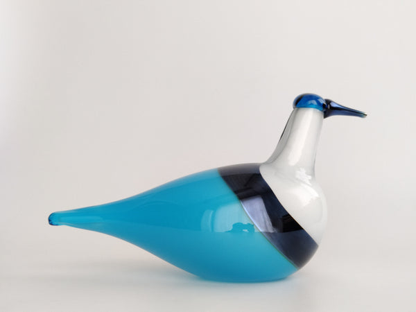 A large handsome and rare Hopeaviklo bird from year 2006. It has light-blue and white body with a luster ribbon, blue head and a luster beak.&nbsp;