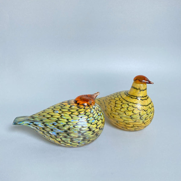 Sleeping Summer Grouse - Nukkuva Kesäriekko - Oiva Toikka for Finn Fest 2005