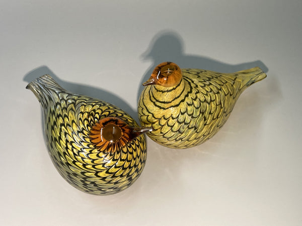 Summer Grouse - Kesäriekko - Birds by Oiva Toikka Nuutajärvi 2006