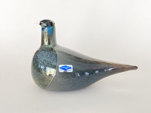 Snipe - Sipi - Oiva Toikka Birds Nuutajärvi 1990-1994