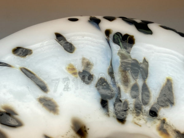 Snowy Owl - Oiva Toikka - Tunturipöllö 721/2023 Iittala