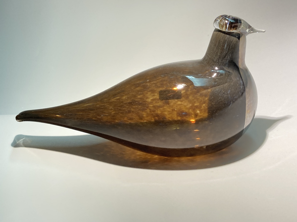 Special brown Snipe - Sipi ruskea - Birds by Toikka Nuutajärvi