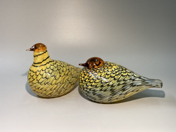 Summer Grouse - Kesäriekko - Birds by Oiva Toikka Nuutajärvi 2006