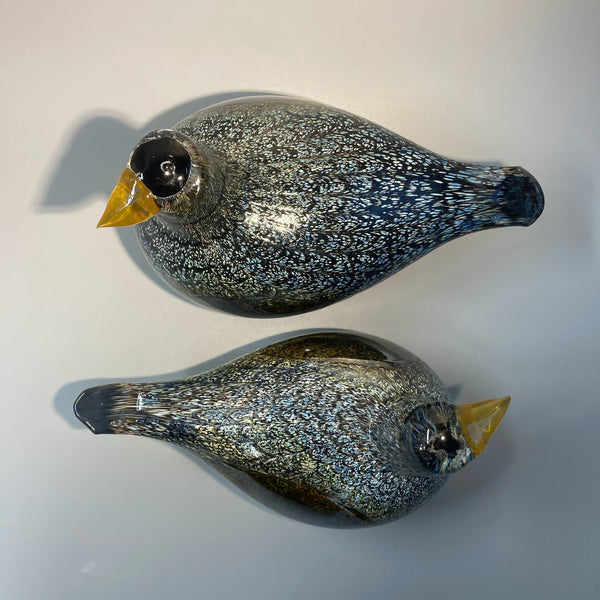 Wood Grouse - Koppelo - Oiva Toikka Birds Nuutajärvi Finland