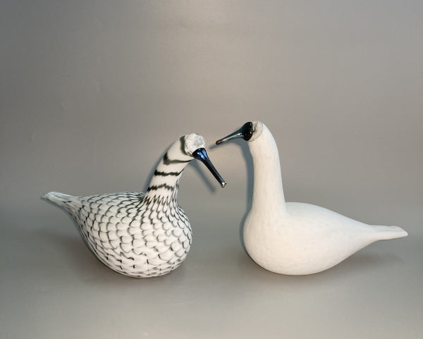 White Whooper Swan Oiva Toikka Karjalan Laulujoutsen Iittala 2017