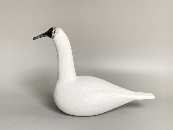 White Whooper Swan Oiva Toikka Karjalan Laulujoutsen Iittala 2017