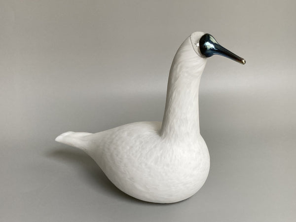 White Whooper Swan Oiva Toikka Karjalan Laulujoutsen Iittala 2017