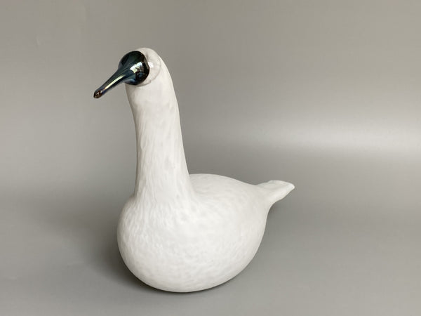 White Whooper Swan Oiva Toikka Karjalan Laulujoutsen Iittala 2017