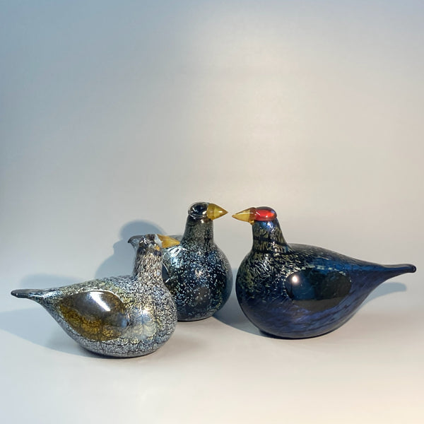 Wood Grouse - Koppelo - Oiva Toikka Birds Nuutajärvi Finland