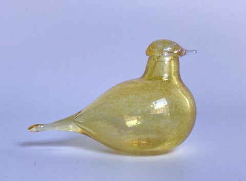 Yellowright_large.jpg?v=1708373116