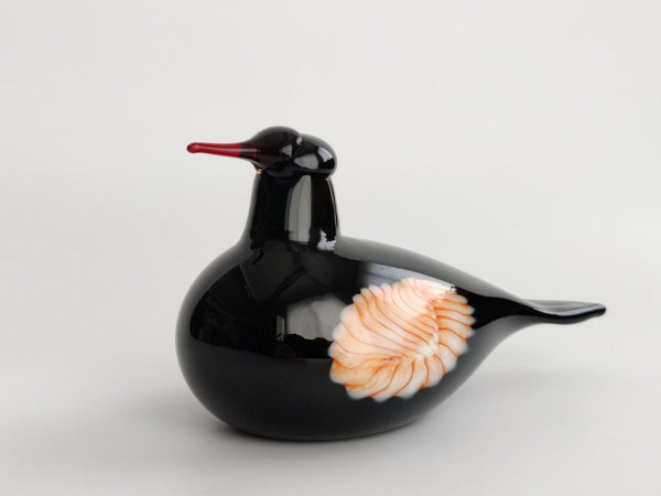 Mustarastas - Redwinged Blackbird 643/1000 Tacoma 2007 - Oiva Toikka