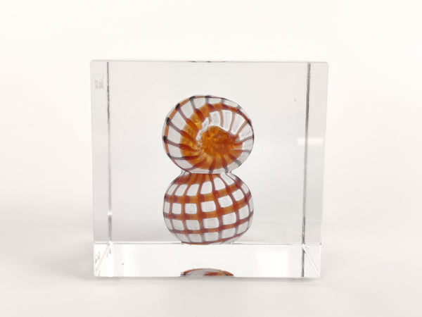 Annual Cube Year 2022 Vuosikuutio Oiva Toikka Iittala (NEW)