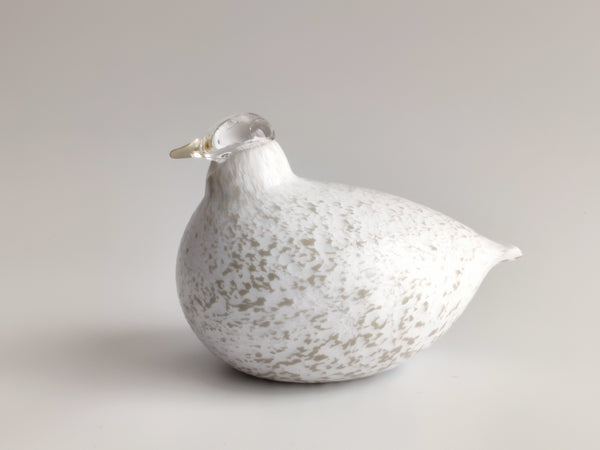 Willow Grouse - Riekko - O.T. Nuutajärvi