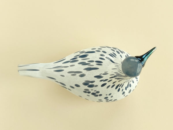 Mistle Thrush Annual Bird 2013 - Kulorastas - Oiva Toikka