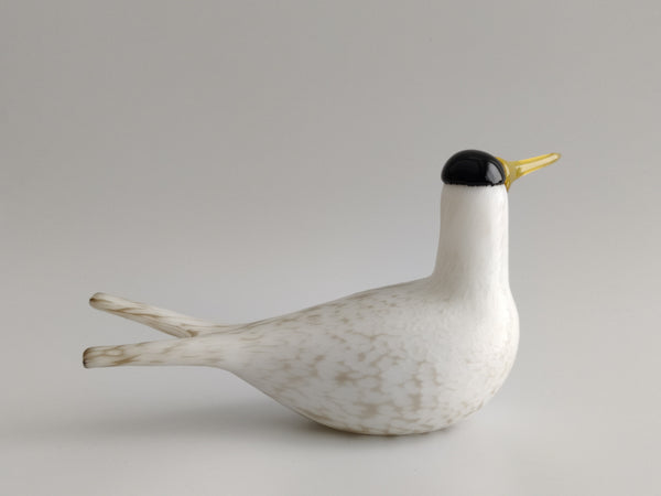 Annual Bird 2000 - Arctic Tern - Lapintiira - Oiva Toikka Nuutajärvi