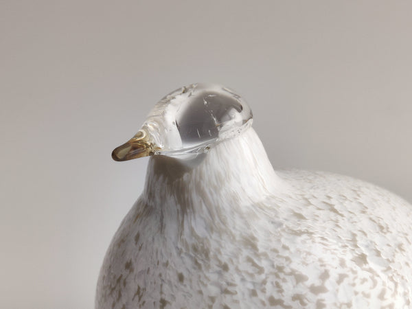 Willow Grouse - Riekko - O.T. Nuutajärvi