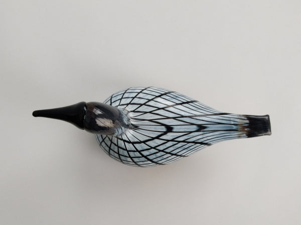 Small Loon-Pikku-Kuikka O.T. II Nuutajärvi 2003-2008