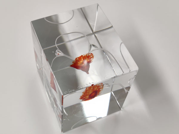 Unique Vintage Cube - Oiva Toikka Nuutajärvi