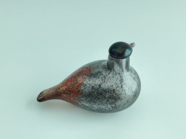 Special Kuukkeli with black head for Napapiiri by Oiva Toikka