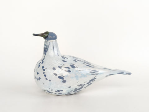 Annual Bird 2013 Mistle Thrush Kulorastas by Oiva Toikka