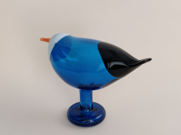 Blue Magpie - Rantaharakka - Oiva Toikka