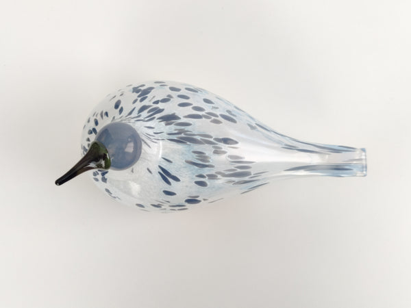 Annual Bird 2013 Mistle Thrush Kulorastas by Oiva Toikka