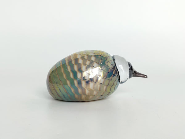 Little Kiwi - Pikkukiwi - My Iittala collection 2018 (NEW)