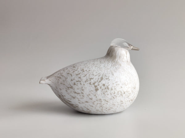 Willow Grouse - Riekko - O.T. Nuutajärvi
