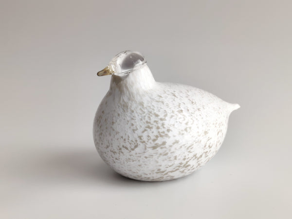 Willow Grouse - Riekko - O.T. Nuutajärvi