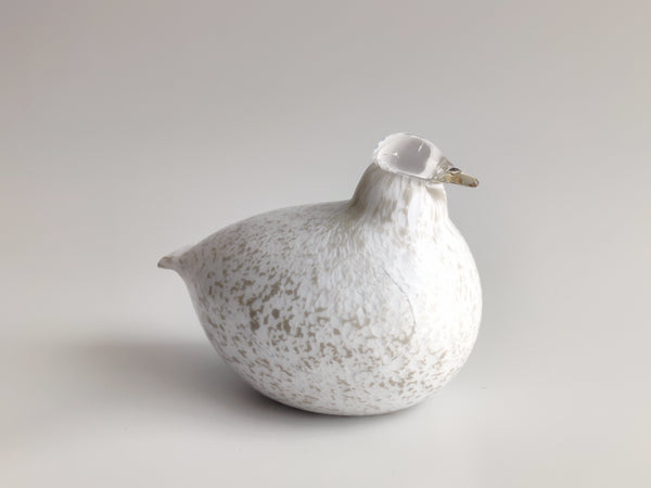 Willow Grouse - Riekko - O.T. Nuutajärvi